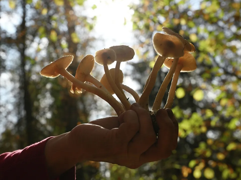 Фото: РИА Новости/Кирилл Каллиников