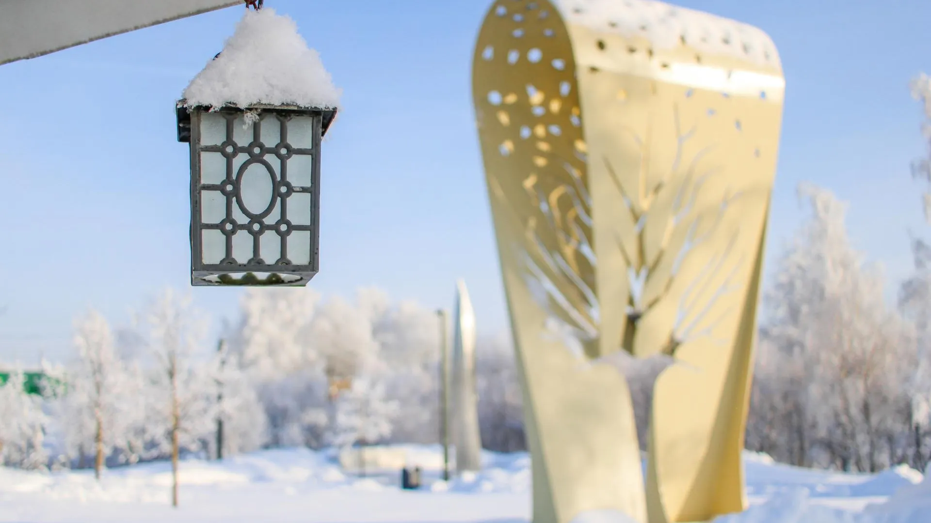 Шаховской Городской парк