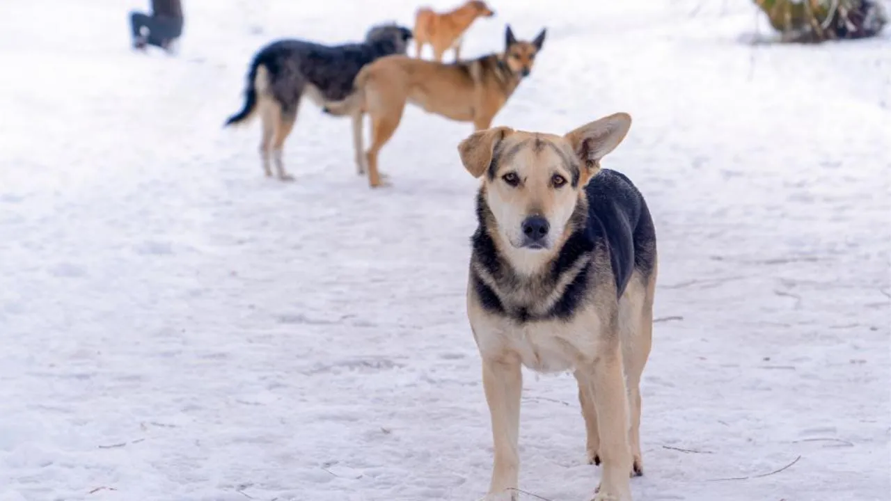 istockphoto.com/Thankful Photography