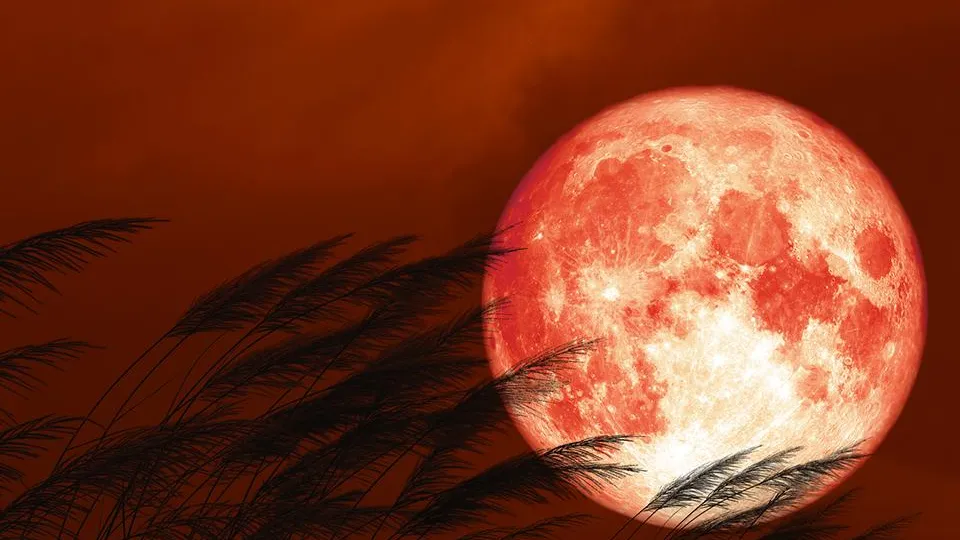 Фото: istockphoto.com