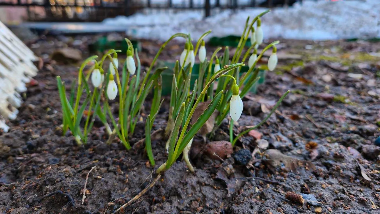 REGIONS/Анастасия Широкая