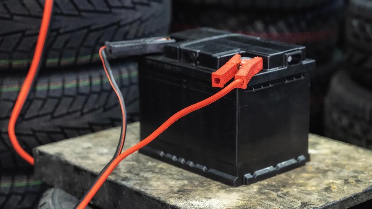 istockphoto.com/Raman Mistsechka