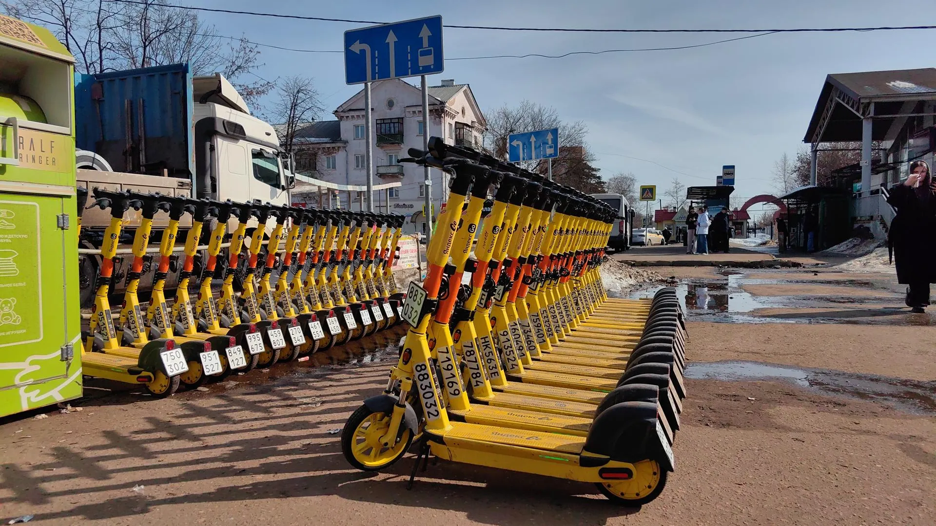 Елена Катасонова