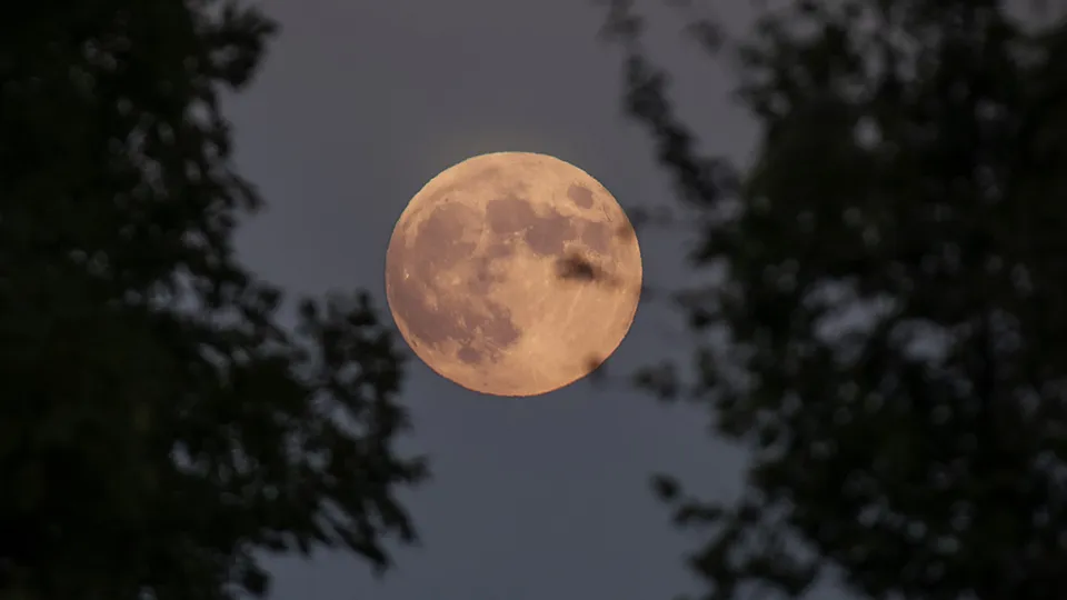 Фото: istockphoto.com