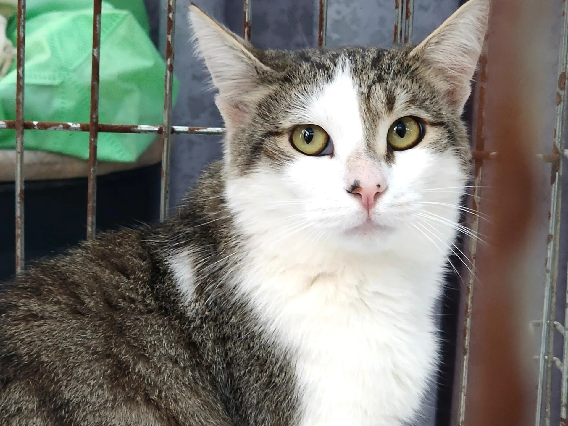 Фото: Анна Тюрюмина&nbsp; &nbsp; &nbsp; &nbsp; &nbsp;&nbsp;