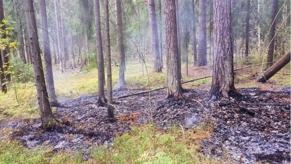 Фото: Администрация Павлово-Посадского г.о.