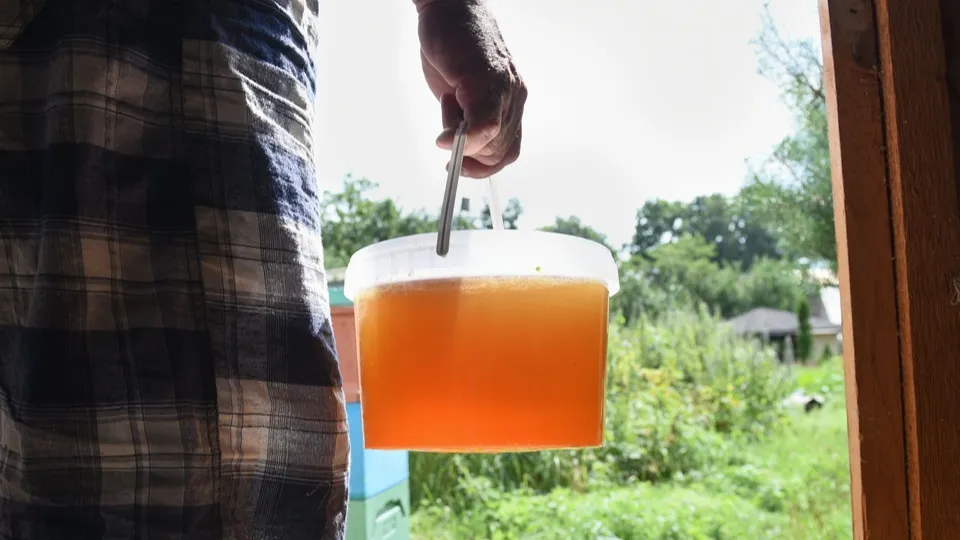 Фото: медиасток.рф