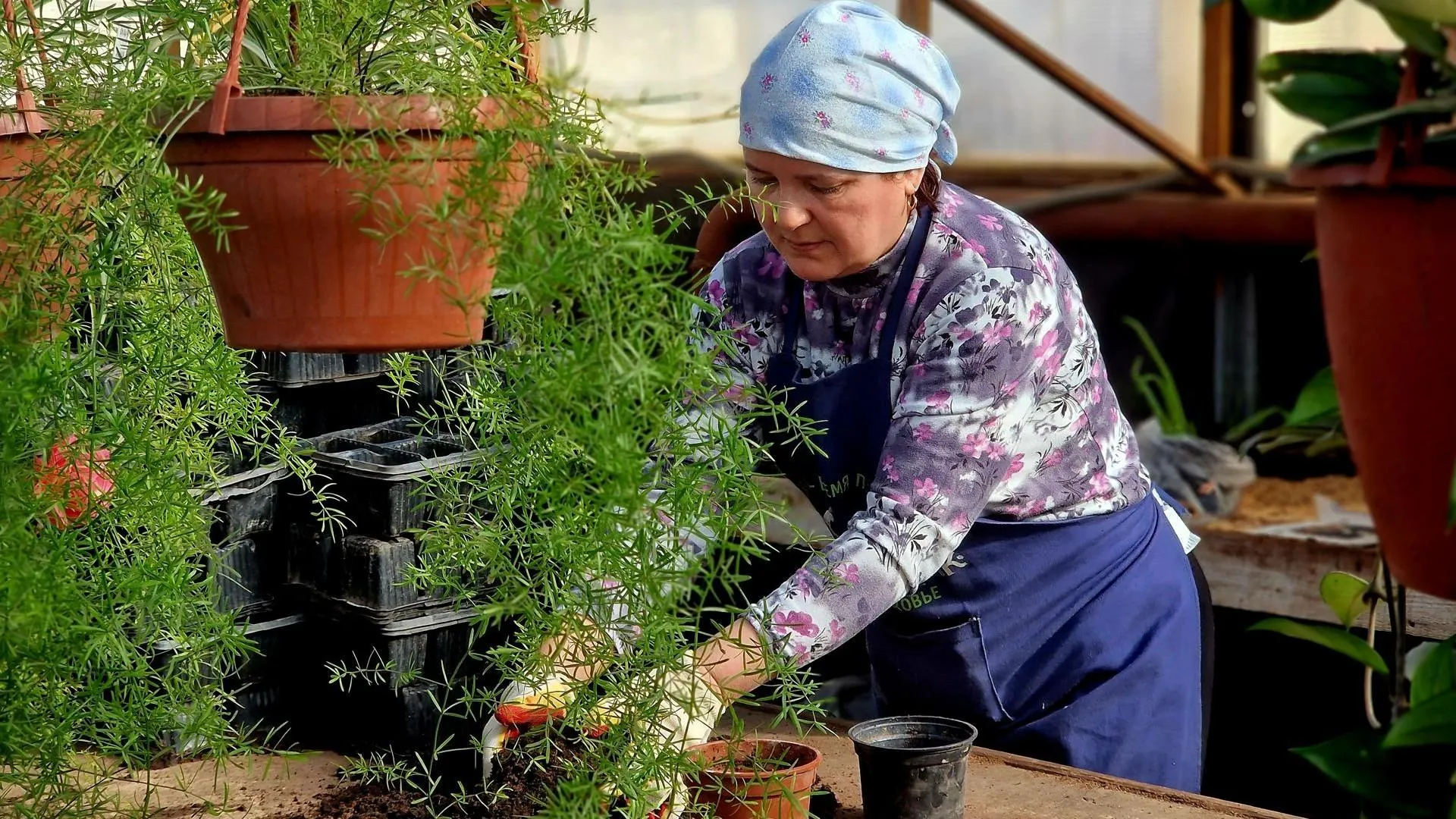 REGIONS/Ольга Шаронова