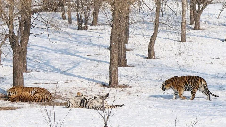 Фото: unsplash.com