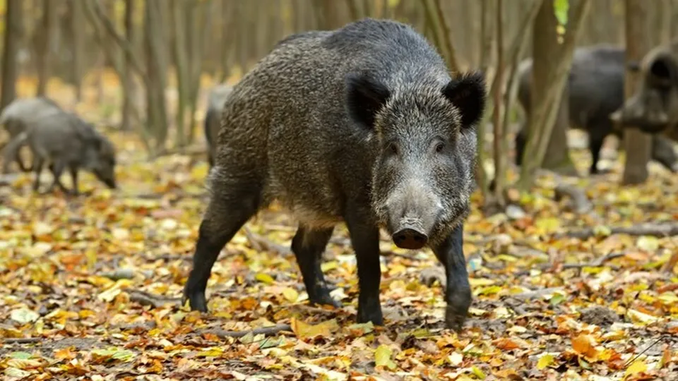 Фото: freepik.com