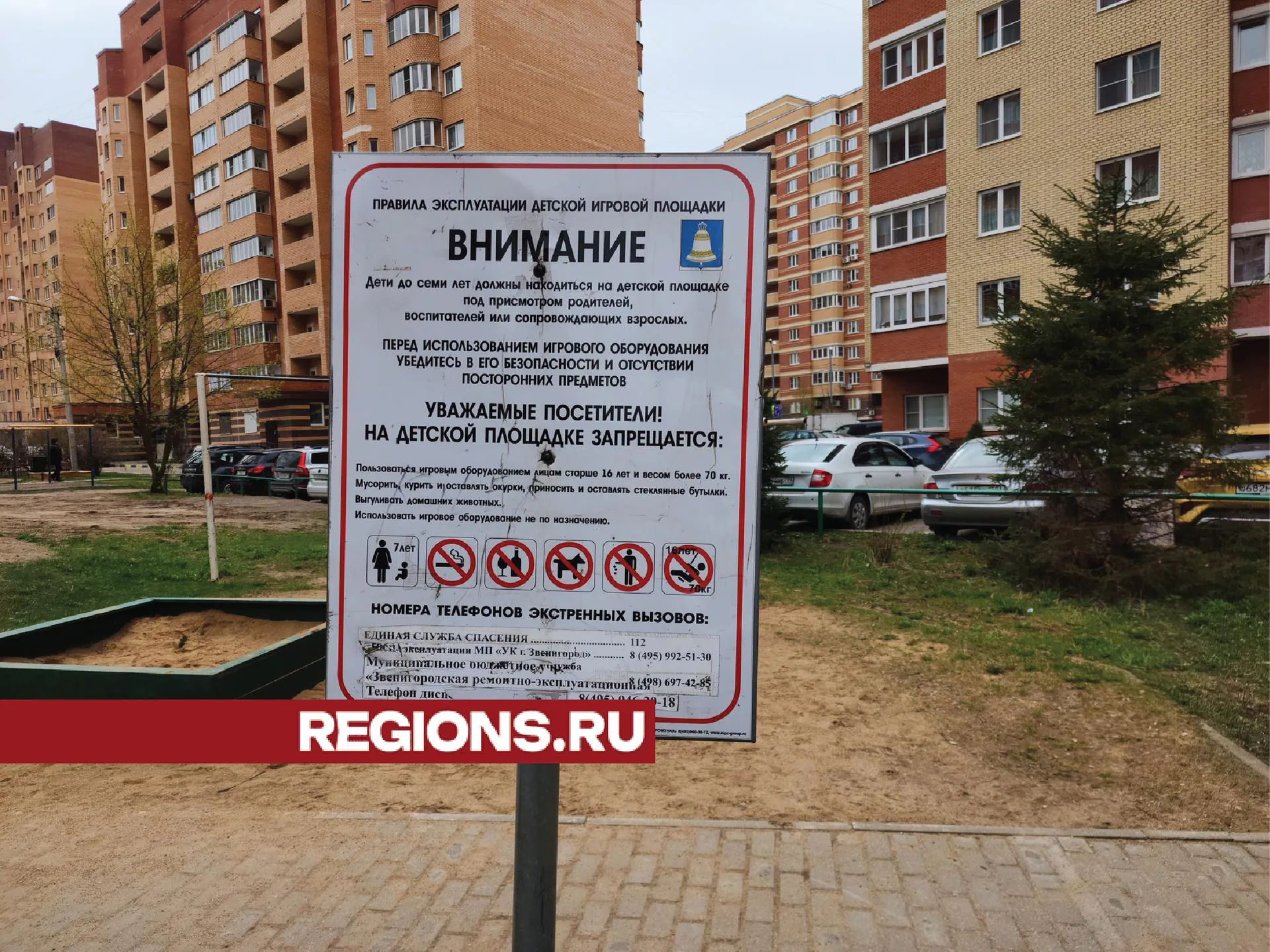 Фото: Хавива Фонина