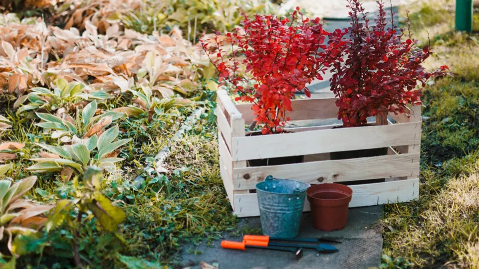 Фото: freepik.com