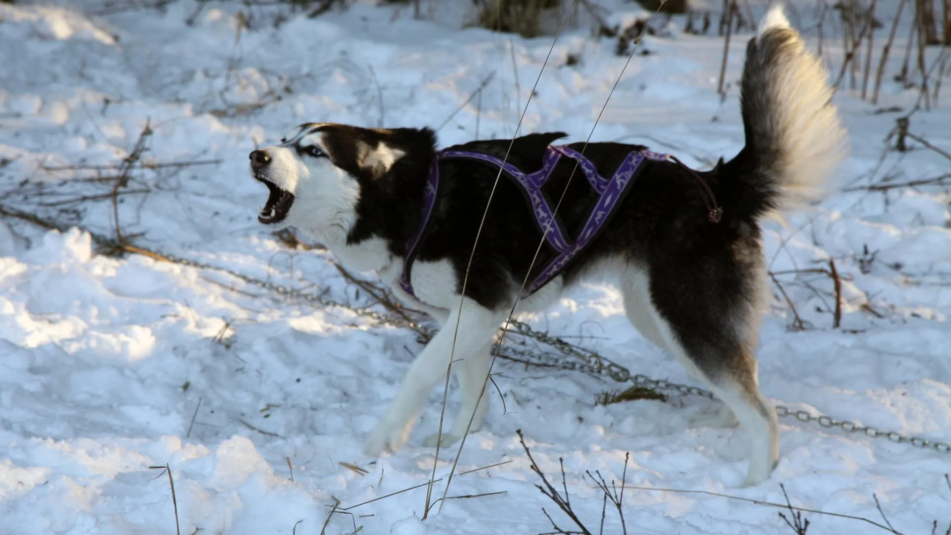 медиасток.рф
