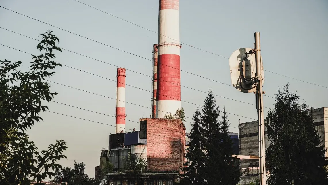 Фото: unsplash.com