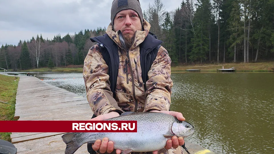 Фото: REGIONS/Александр Степушкин