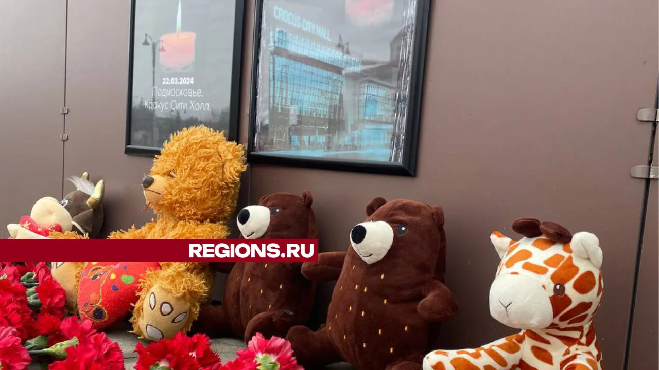 Фото: Владислав Мурашов