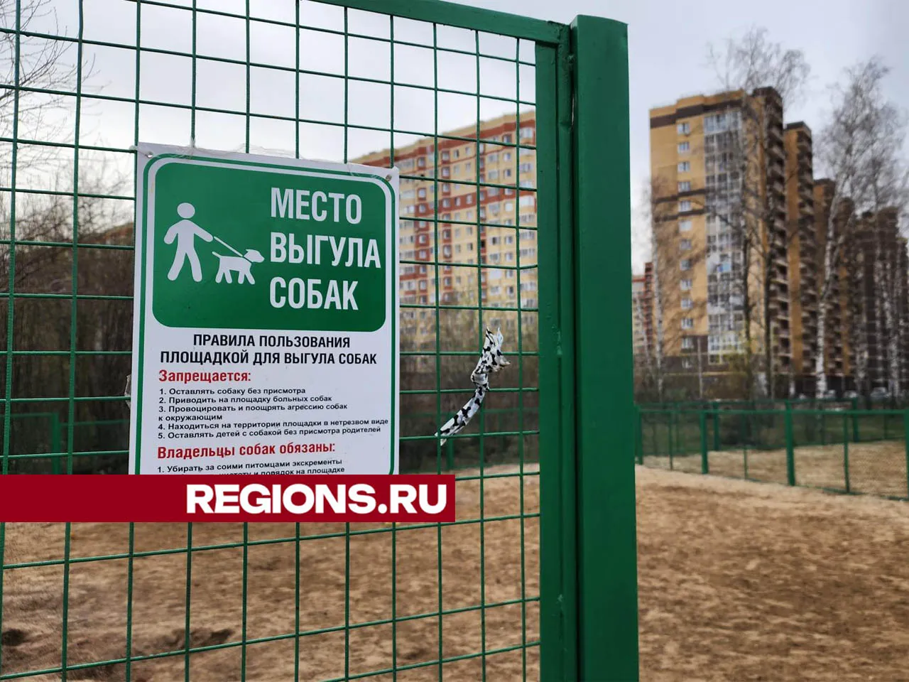 Фото: Валерия Тингаева