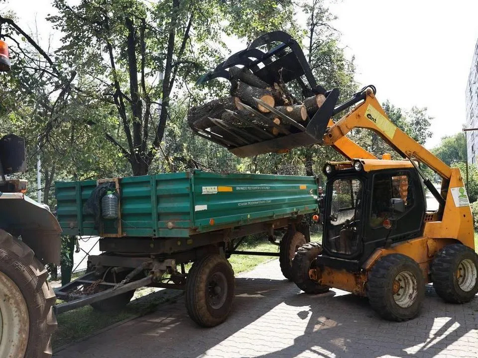 Фото: пресс-служба Администрации городского округа Мытищи