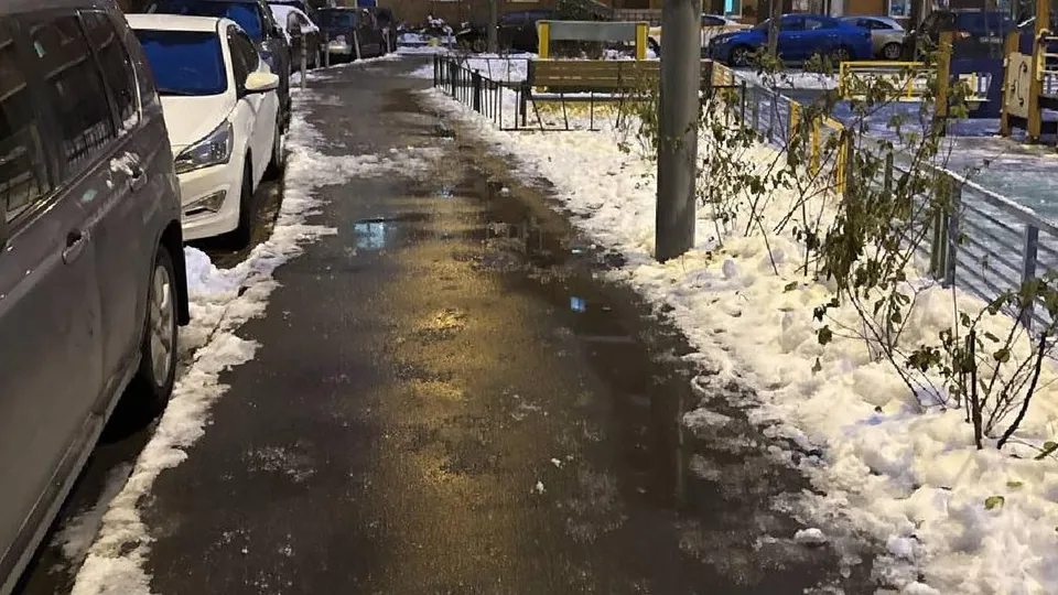 Фото: администрация Одинцовского городского округа