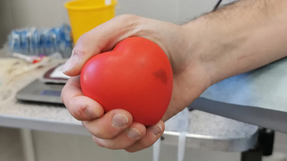 Фото: Медиаархив Подмосковья/Евгений Лавряшин