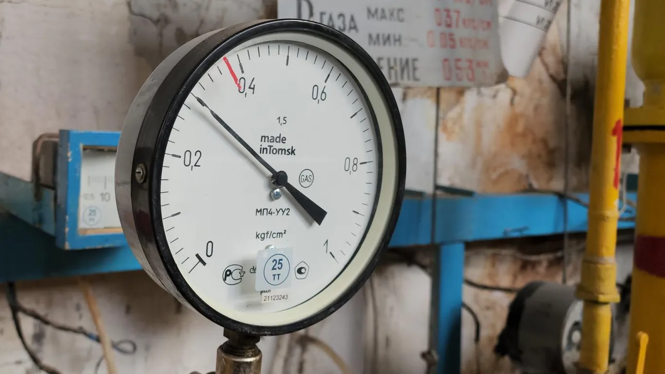 Фото: Медиабанк Подмосковья/Иван Дубров