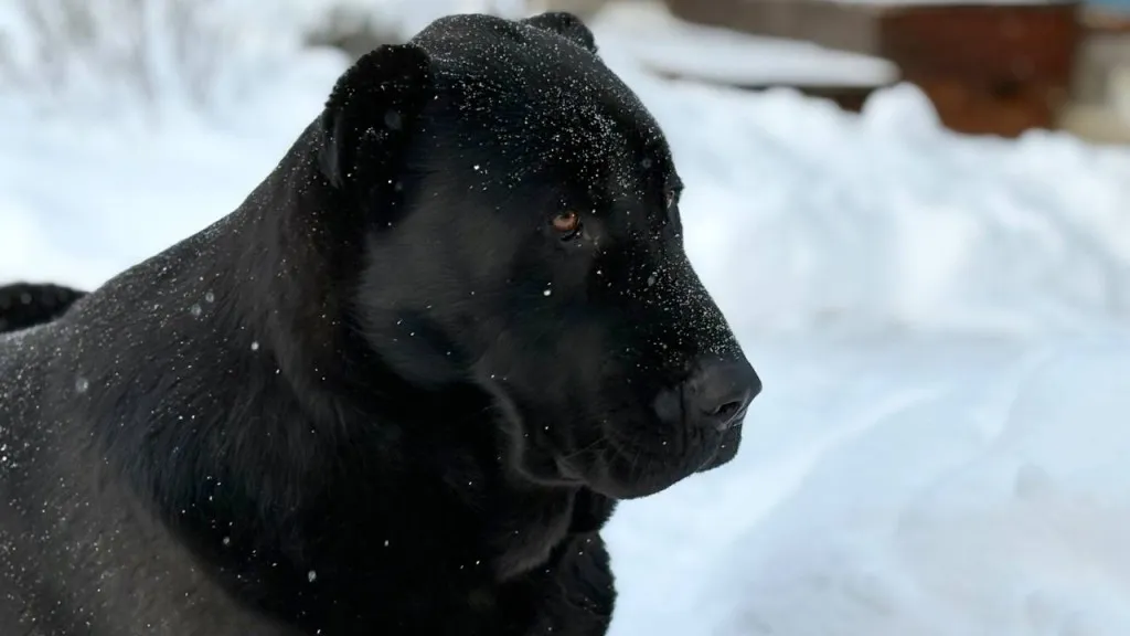 Фото: REGIONS/Полина Крачун