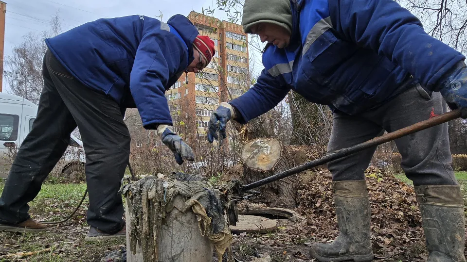 Фото: МедиаБанк Подмосковья/Марина Анисимова