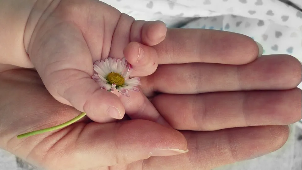 Фото: pxhere.com