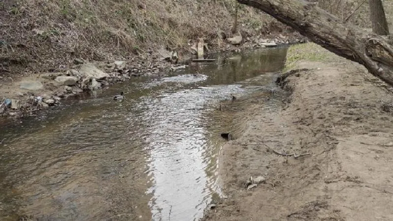 Фото Минэкологии МО.