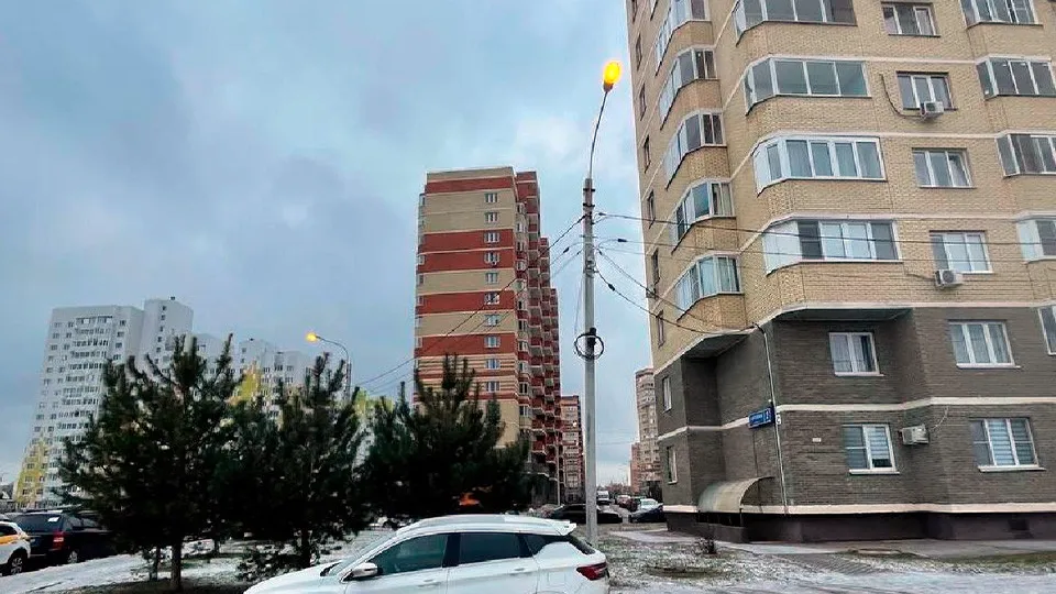 Фото: пресс-служба администрации городского округа Лосино-Петровский