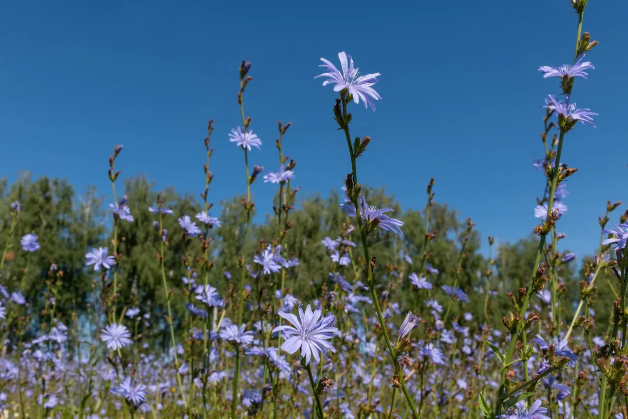 Фото: Евгений Мазепов