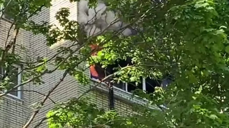 Фото: t.me/chernogolovka_live