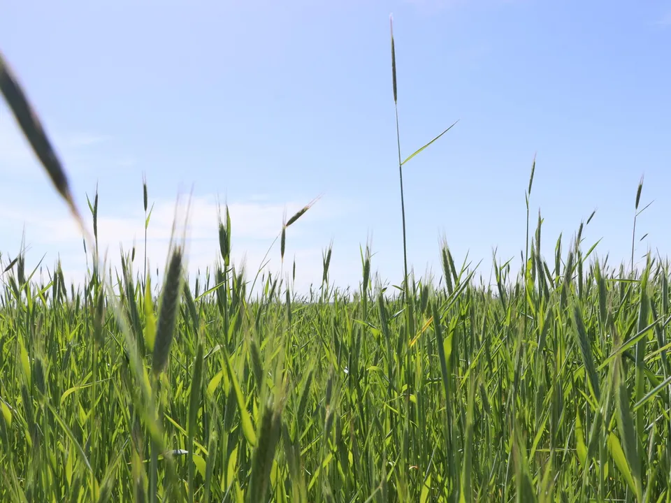 Фото: Ирина Матвеева