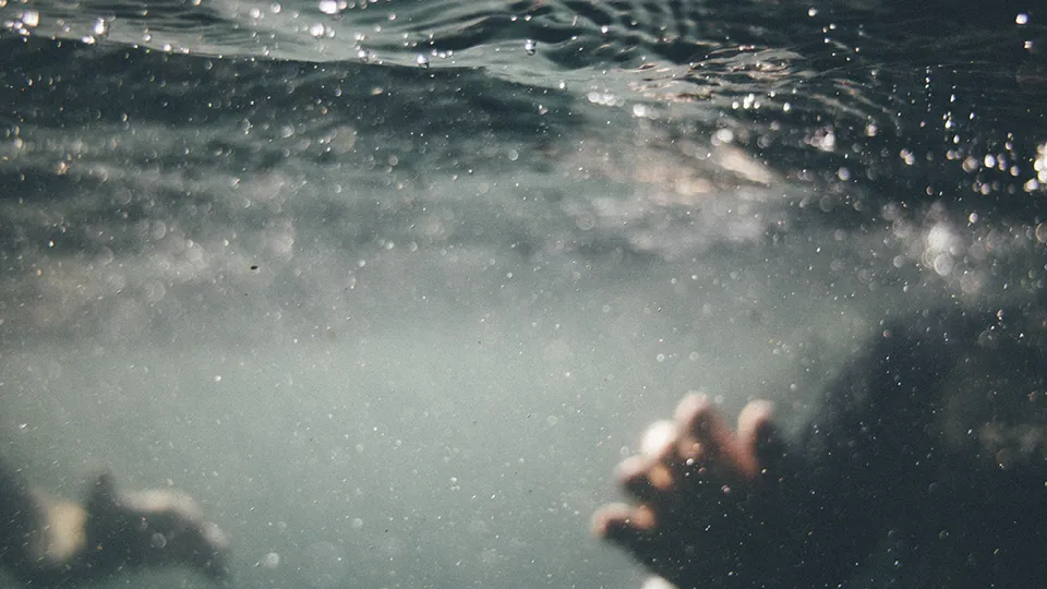 Фото: pxhere.com