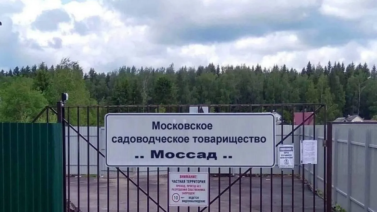 Фото: соцсети