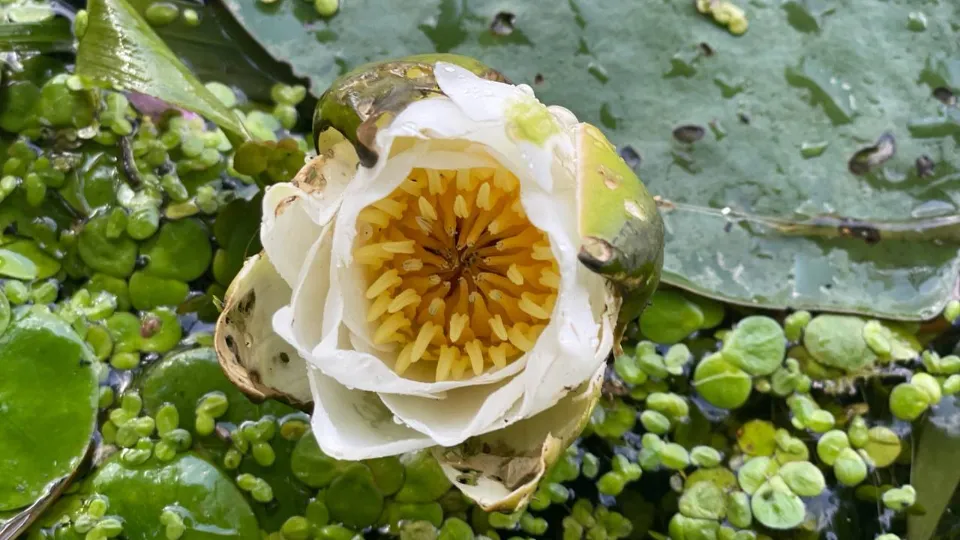 Фото: Наталья Козлова