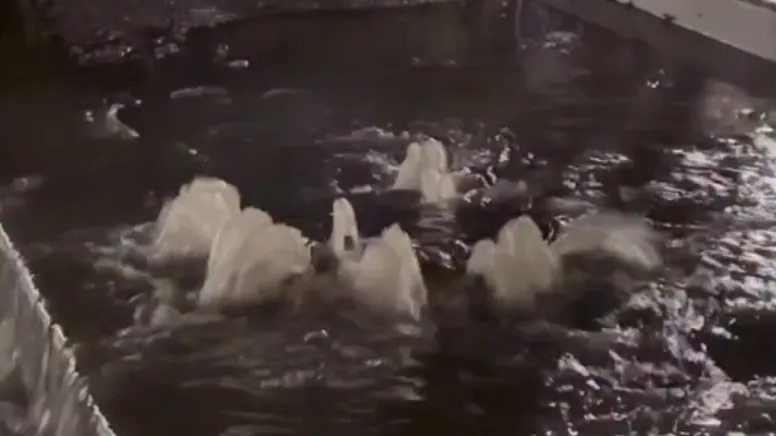 Фото: соцсети