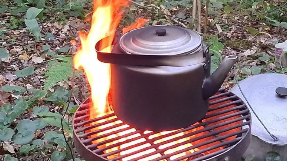 Фото: пресс-служба администрации г.о. Лобня