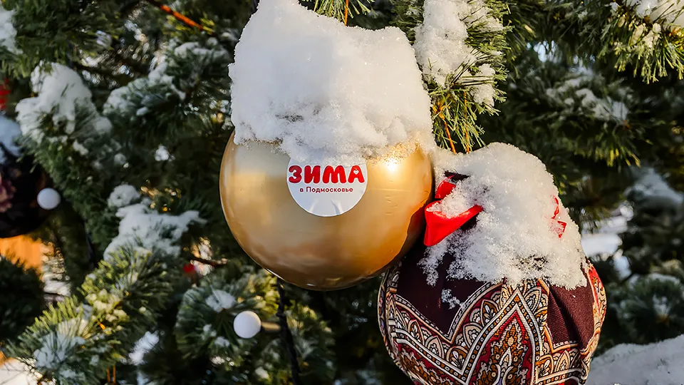 Фото: медиасток.рф