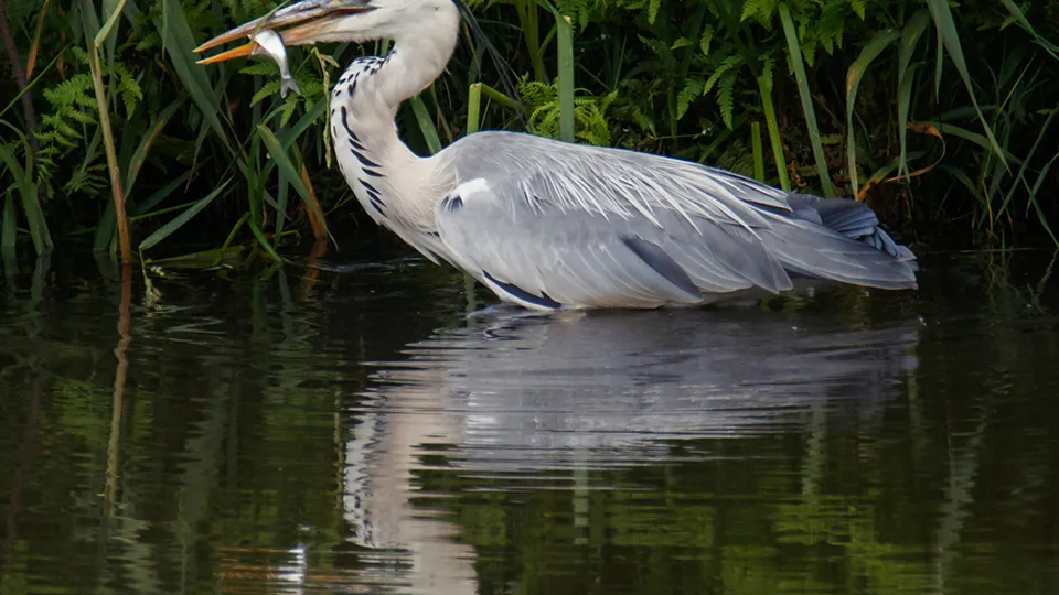 Фото: Владимир Данюшин