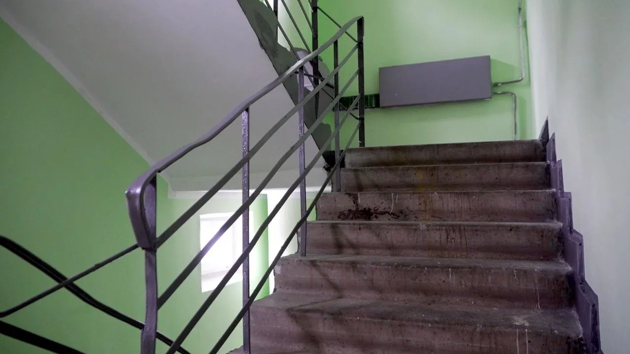 МедиаБанк Подмосковья/Елена Аботурова