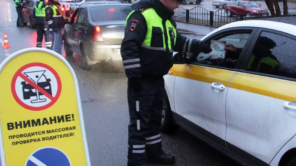 Фото: пресс-служба администрации г.о. Красногорск