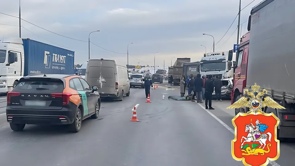 Фото: пресс-служба ГУ МВД России по Московской области