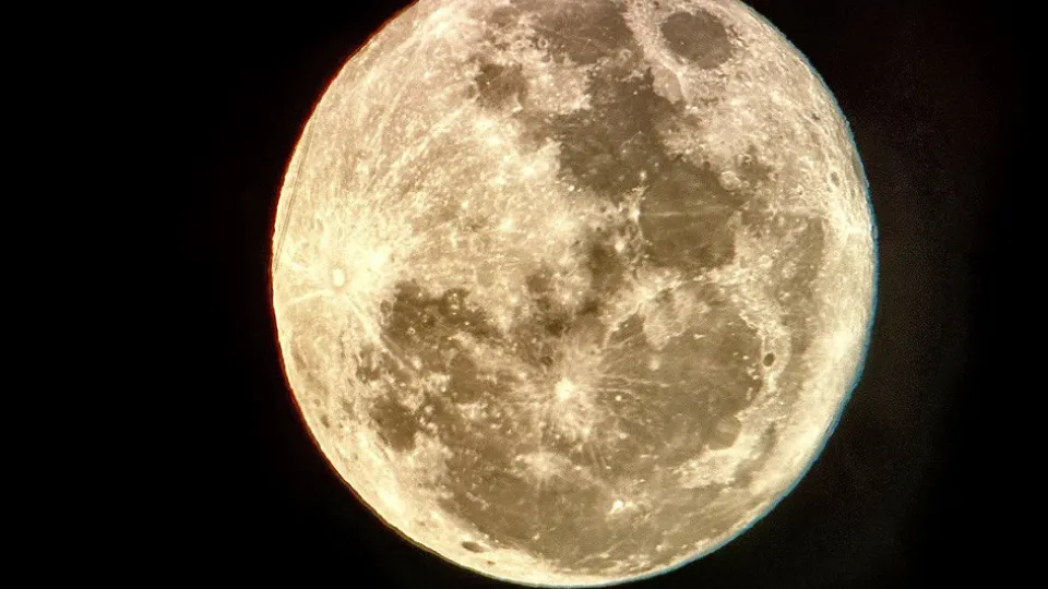 Фото: МедиаБанк Подмосковья/Яна Шаливская