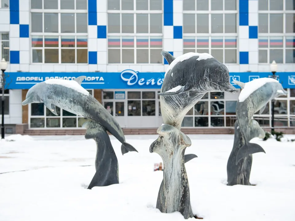 Фото: медиасток.рф