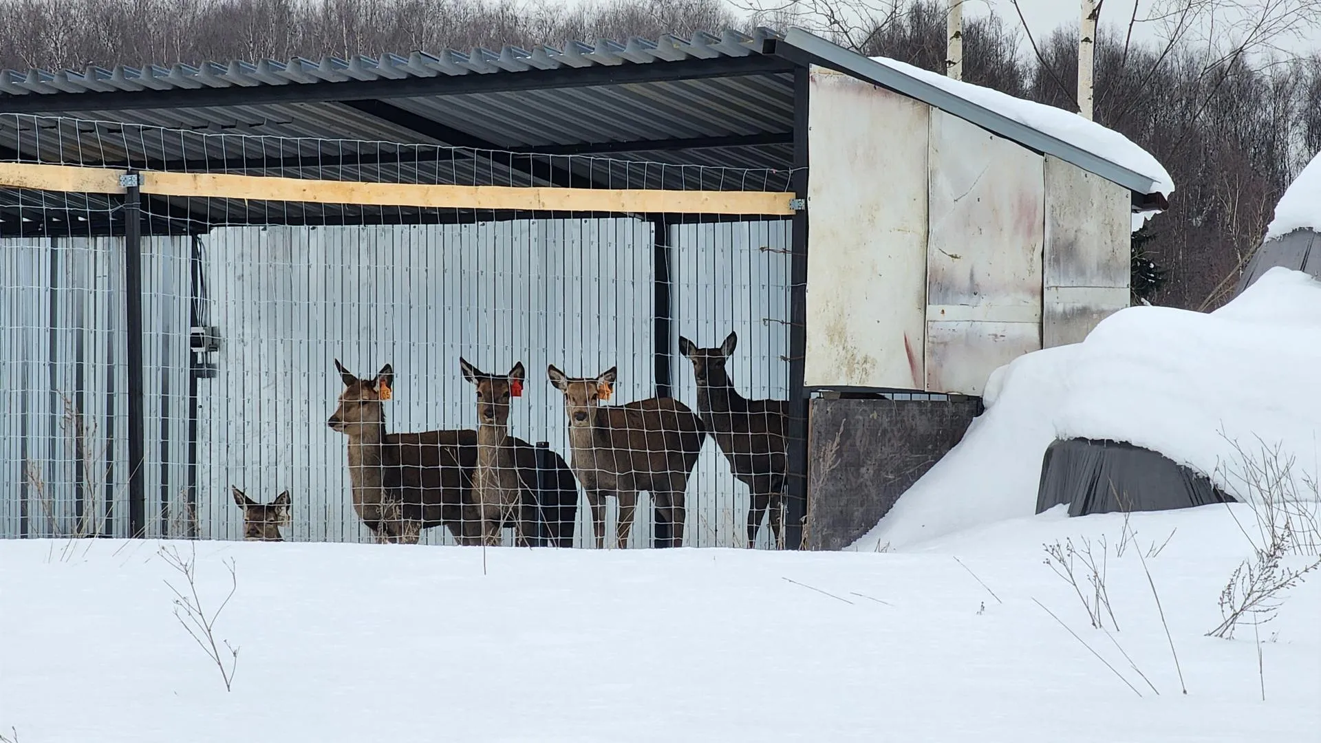 REGIONS/Евгений Рой