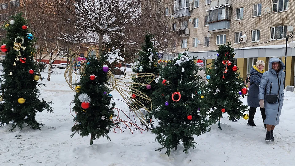 Фото: МедиаБанк Подмосковья/Андрей Алекин
