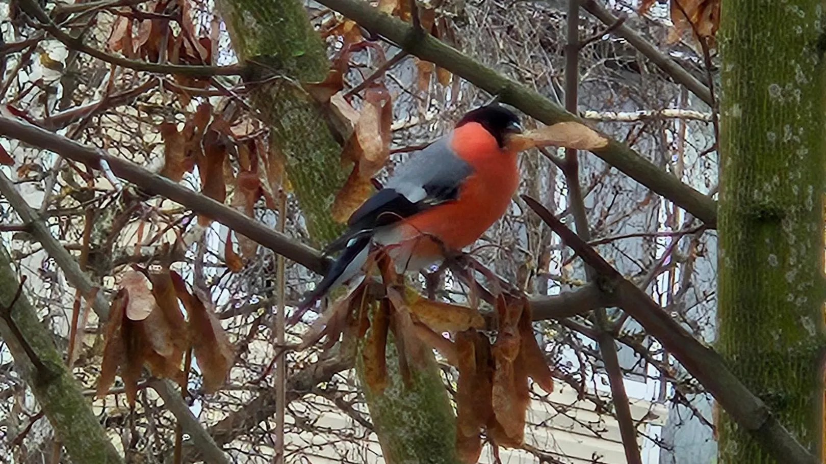 Фото: Подслушано | Истра / ВКонтакте
