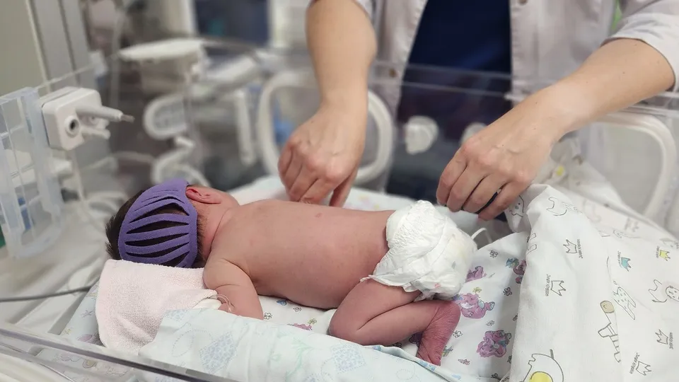 Фото: МедиаБанк Подмосковья/Валентина Максимова