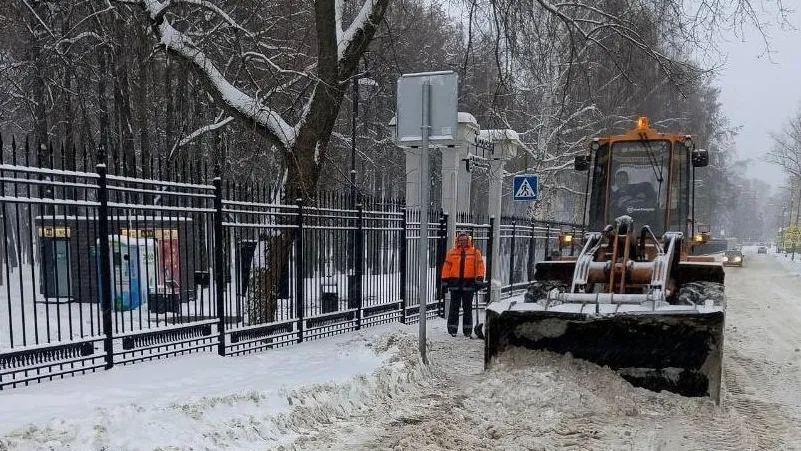 Фото: t.me/vos_glava